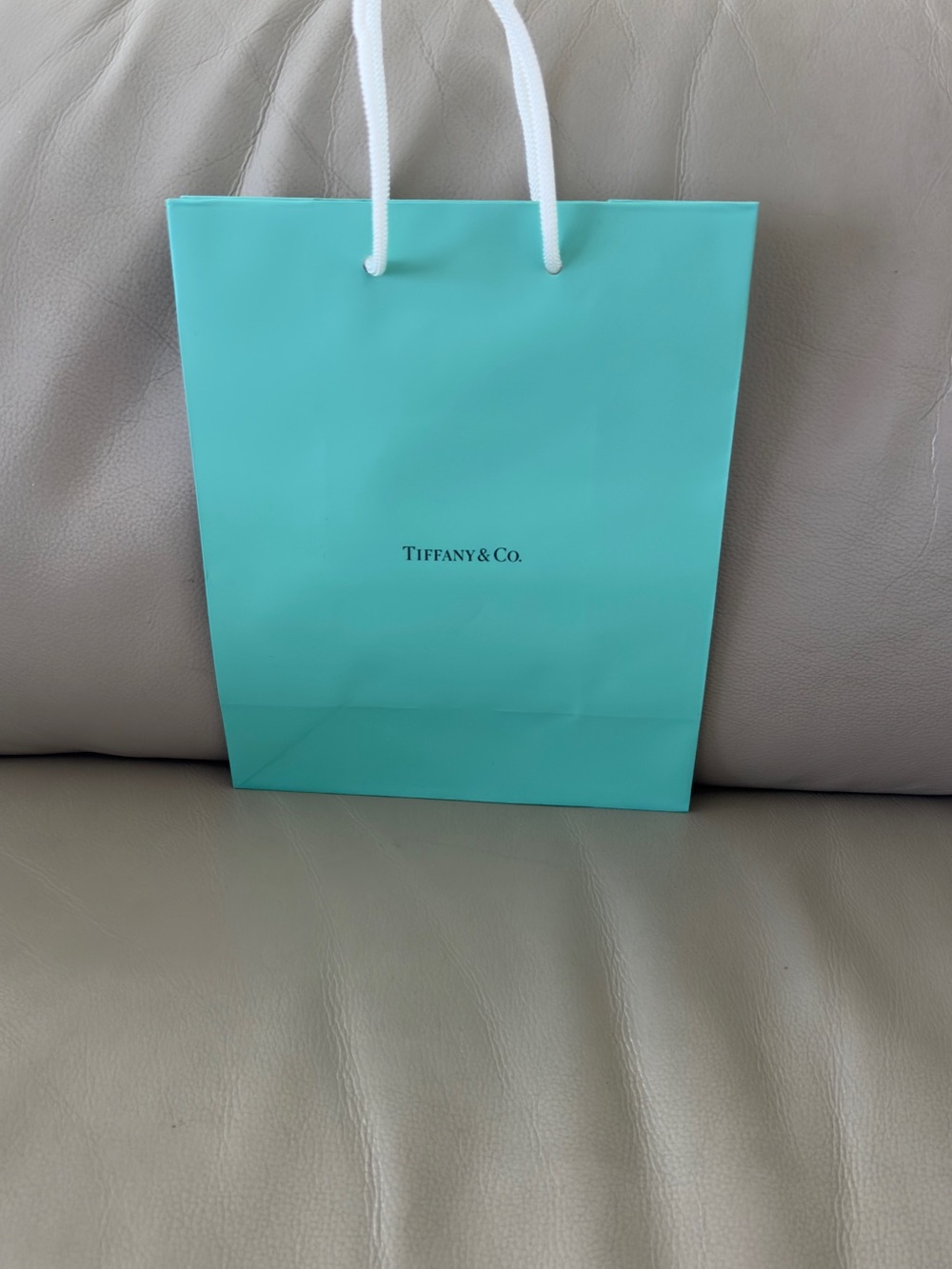 Tiffany & Co. Robin's Egg Blue Gift Bag with White Rope Handles 10/8